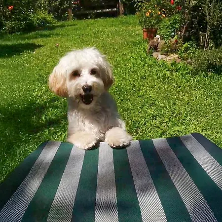 Schnuck - Rote * Bad Gastein