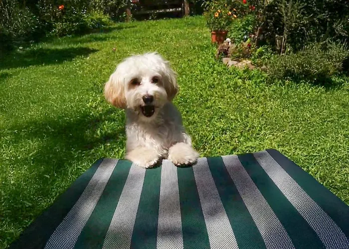 Schnuck - Rote * Bad Gastein